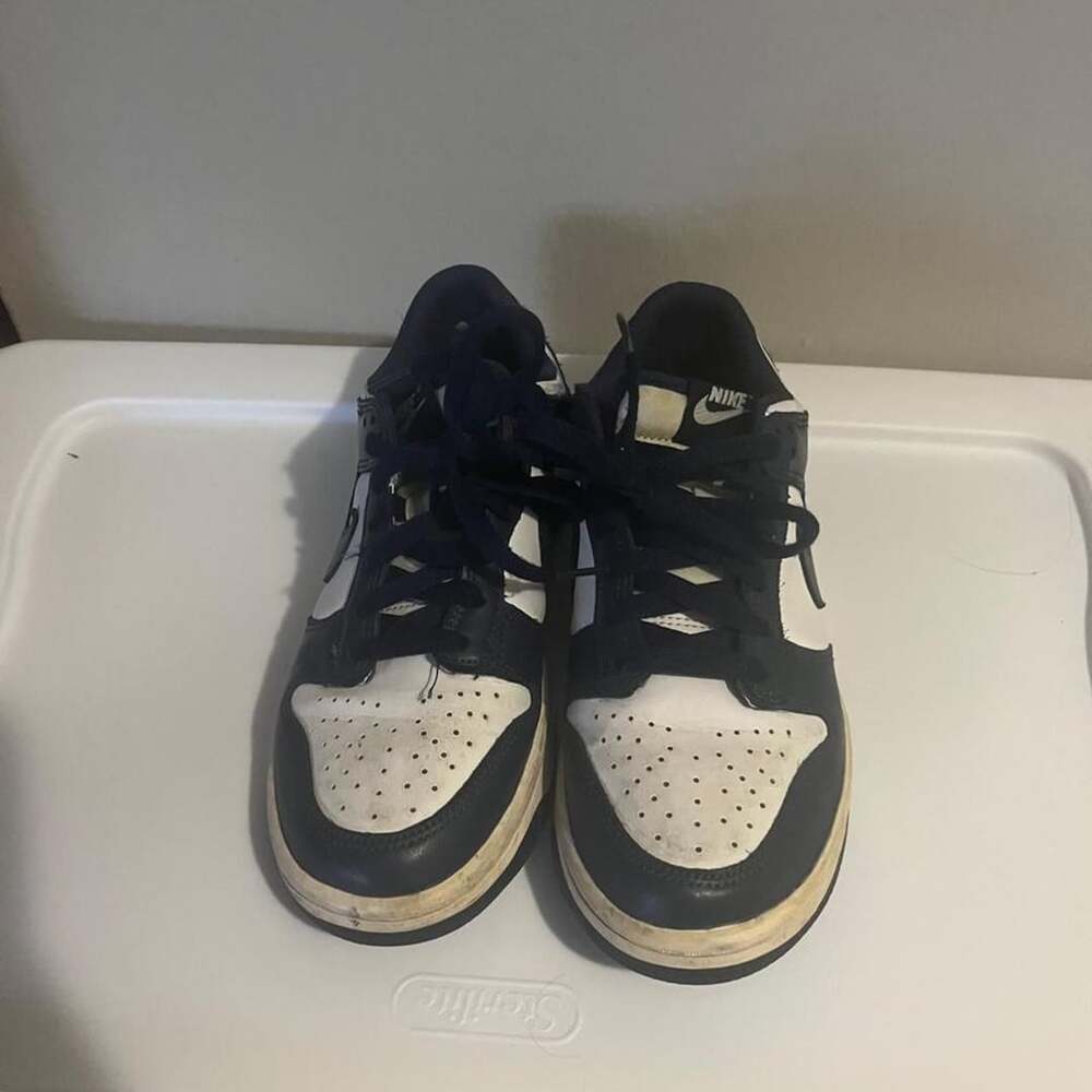 Nike Dunk Low Retro Panda Sneakers
